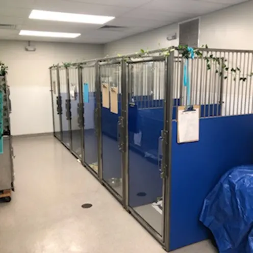 Kennels at Vero Beach Veterinary Hospital